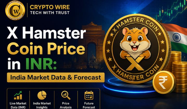 X Hamster coin price in India